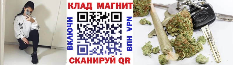 Купить закладку Каннабис  Кокаин  ГАШИШ  Меф  Шенкурск