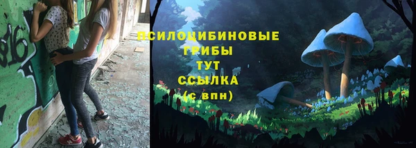 соль ск Саяногорск